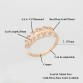 DIANSHANGKAITUOZHE Minimalist Anel Gold Colour Toe Rings CZ Leaf  Ring For Women Masonic Jewelry Anelli Donna Bridesmaid Gift
