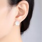 PAG&MAG Brand Hight Quality Elegant And Charming White Transparent Shell Stud Earrings For Women Girls Piercing Jewelry